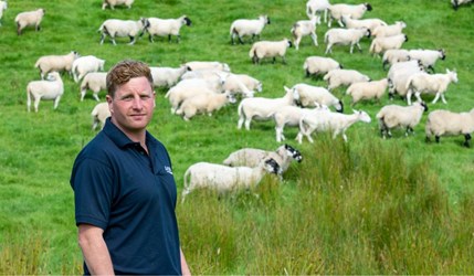 Man wearing blue polo shirt stood in grassy field with sheep